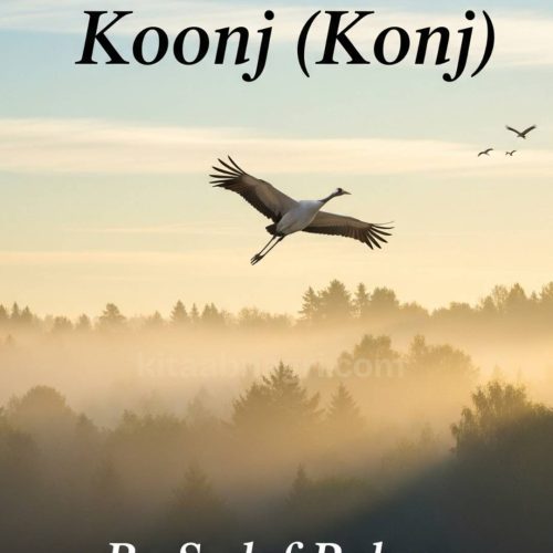 Koonj (Konj) Novel By Sadaf Rehan Complete PDF Download