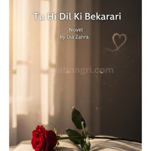 Tu Hi Dil Ki Bekarari Urdu Novel by Dia Zahra.